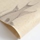 FLAX WALLPAPER | Fish Picture Book | FWP-ENC-02